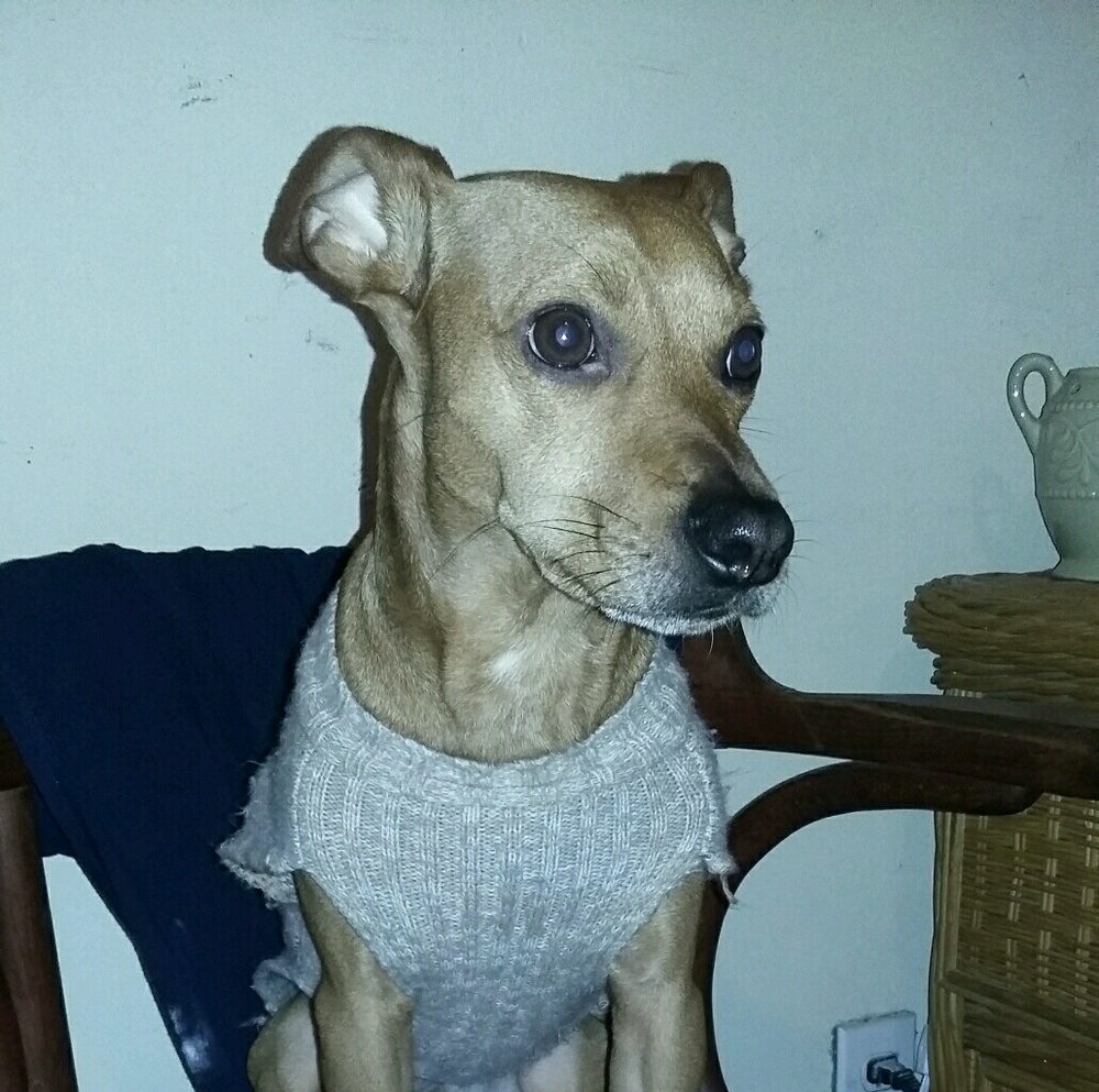 Meet your Posher, Erica